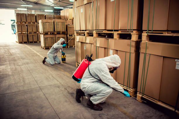 Best Pest Inspection Near Me  in Traer, IA