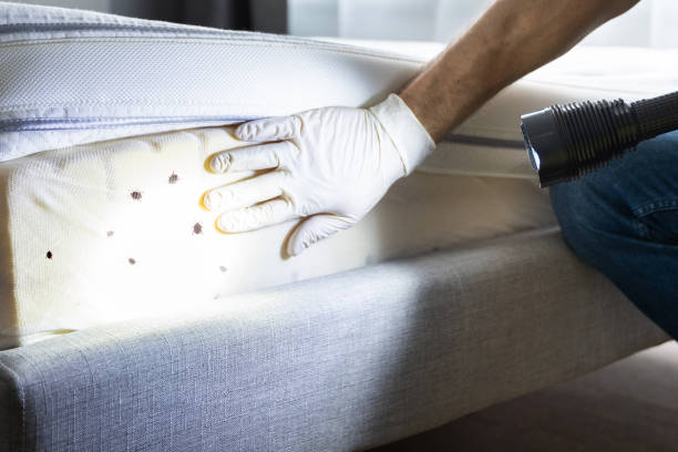 Best Pest Prevention Services  in Traer, IA