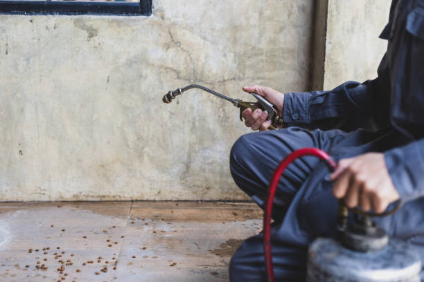 Best Best Pest Control Companies  in Traer, IA